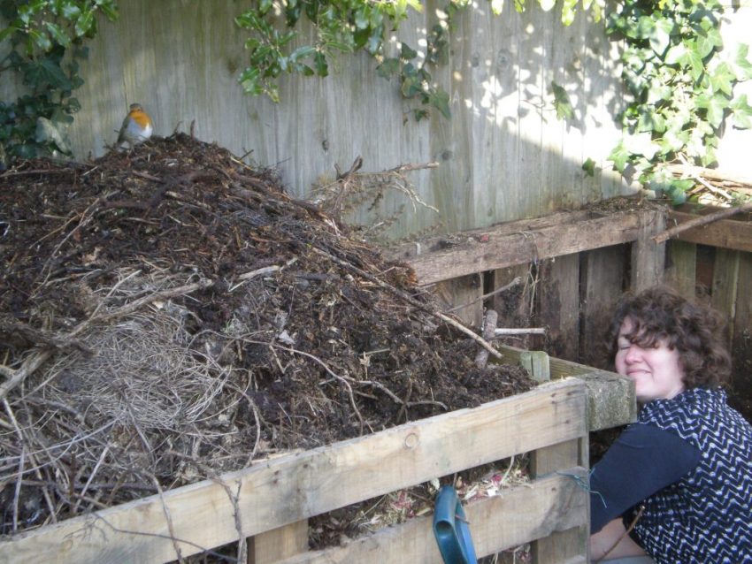 Composting for the birds Photographing Wildflowers