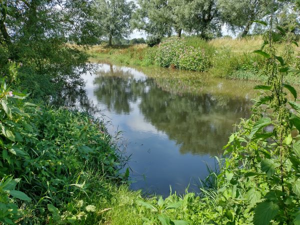 River Ouse Ringmer Sussex Jul 2021