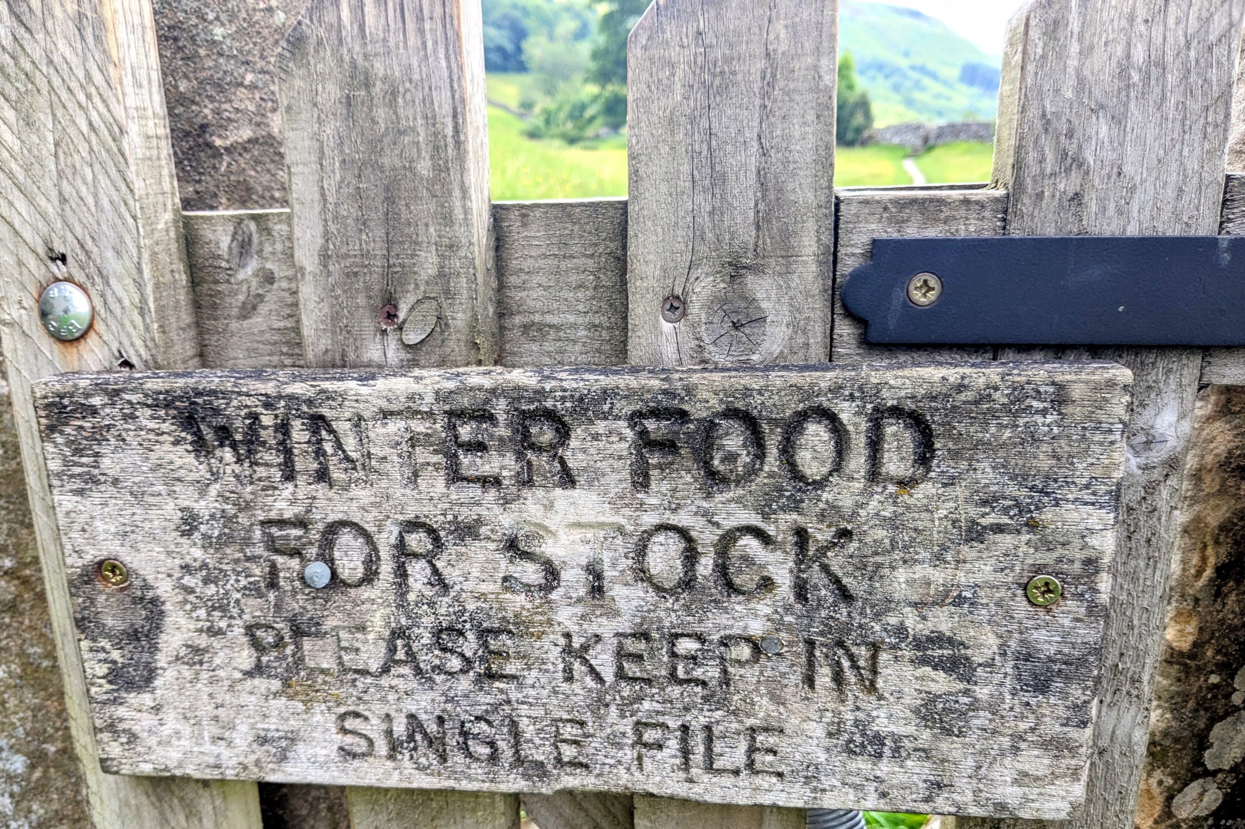 hay meadow gate muker yorkshire june 2025